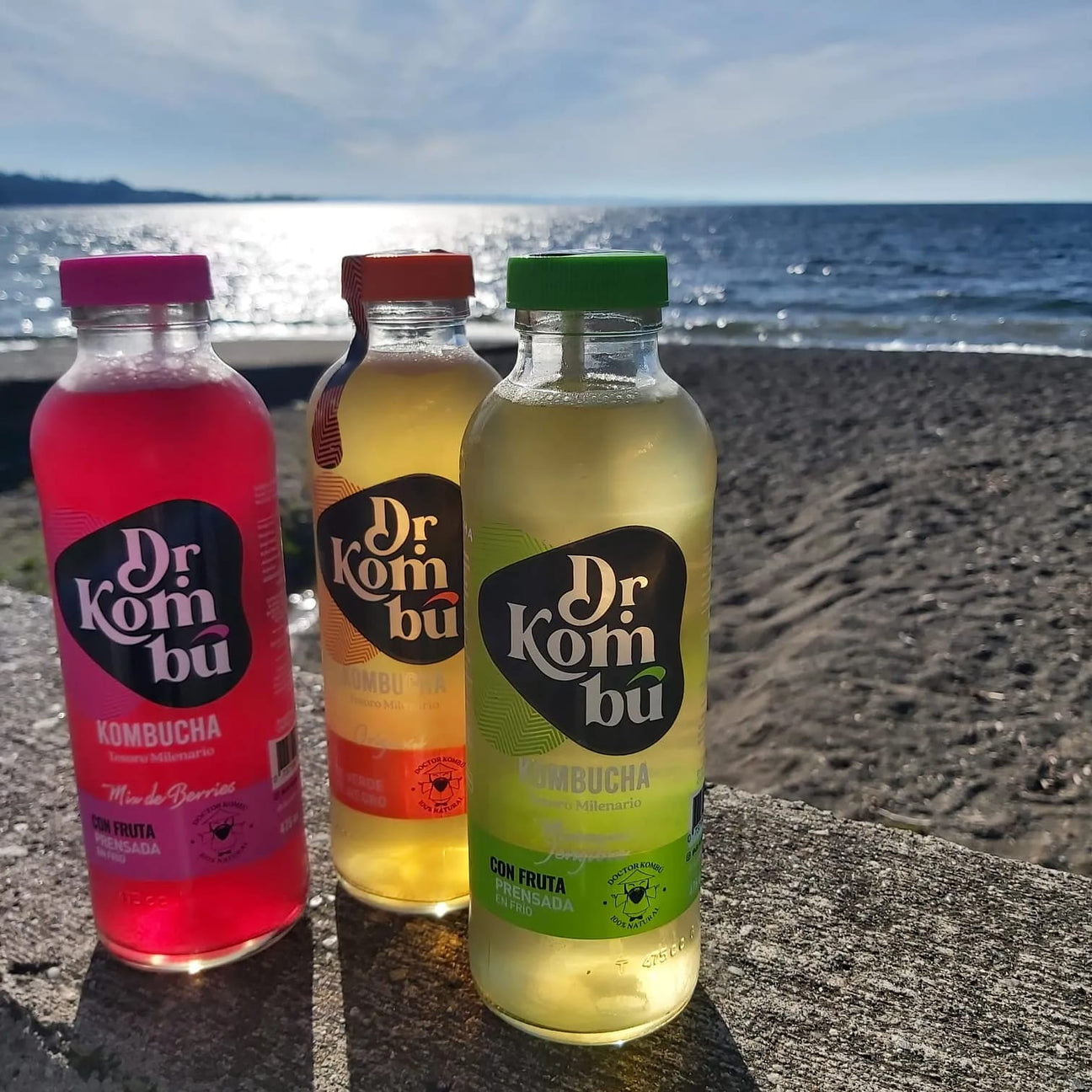 Todos nuestros sabores