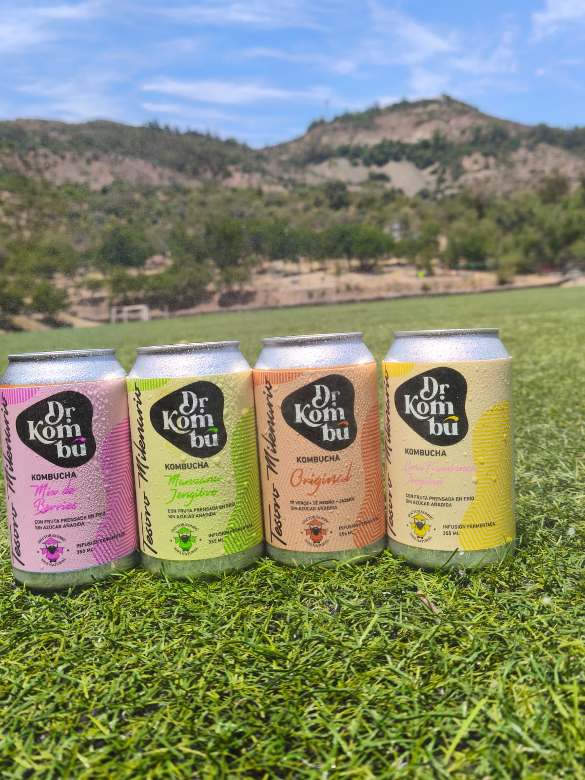 Latas 355cc 12 unidades