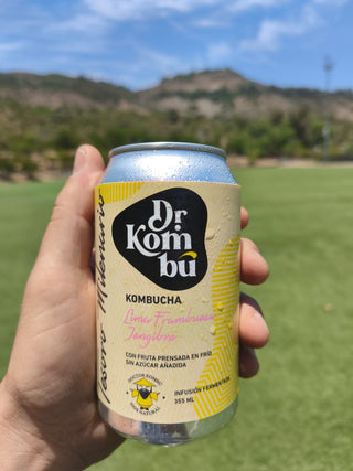Kombucha sabor Lima Frambuesa Jengibre. 12 Latas 355cc