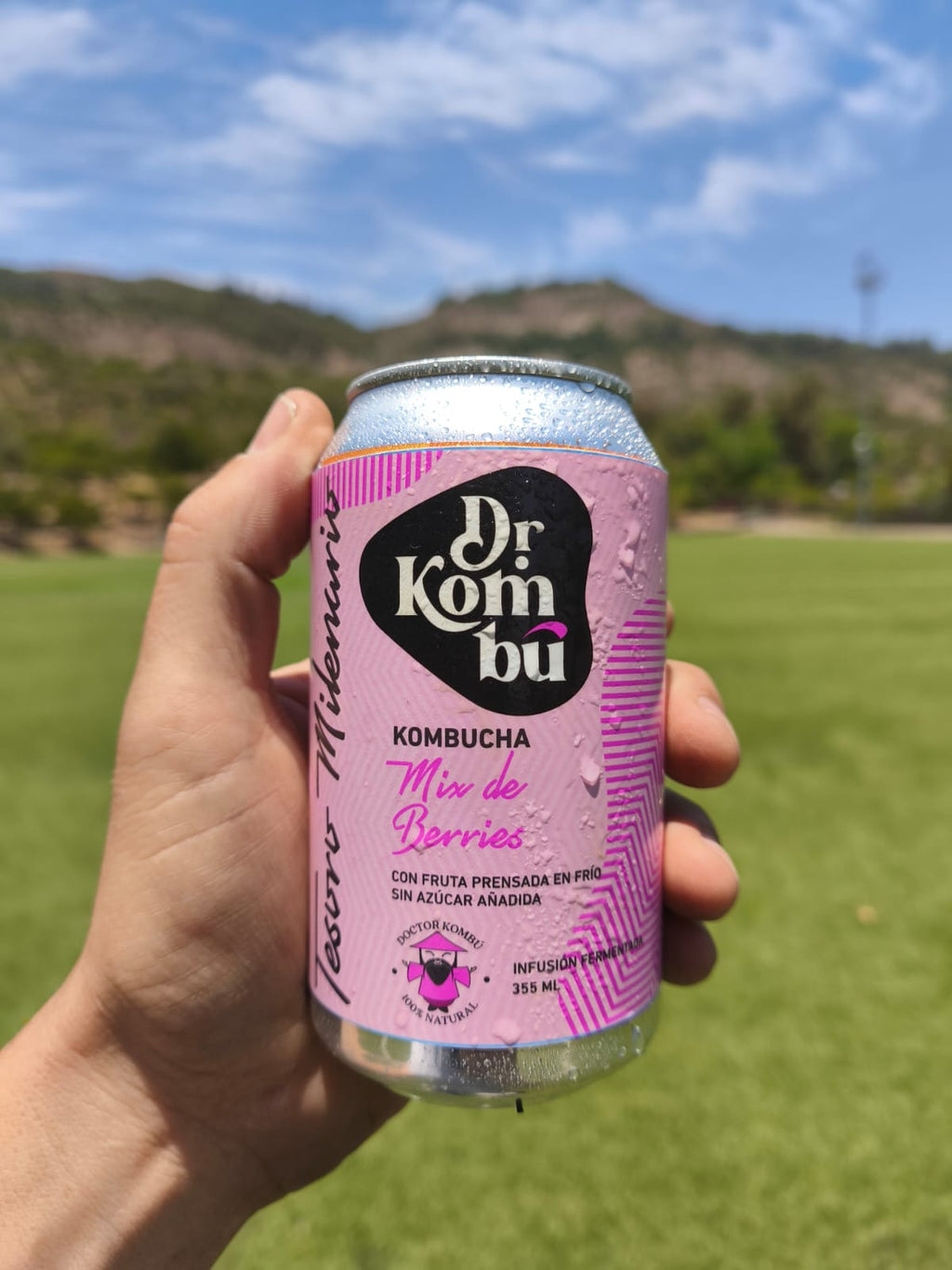 Kombucha sabor Mix de Berries. 12 Latas 355cc