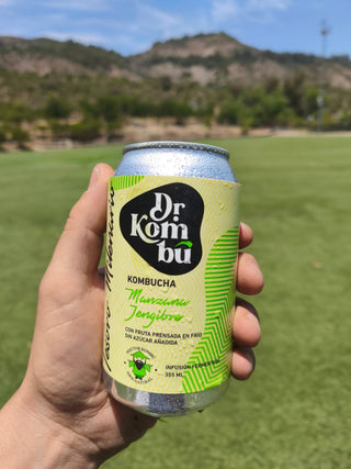 Kombucha sabor Manzana Jengibre. 12 Latas 355cc