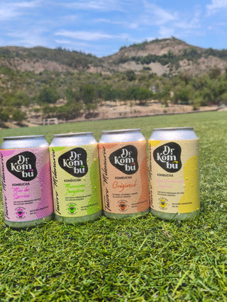 Kombucha sabor Manzana Jengibre. 12 Latas 355cc