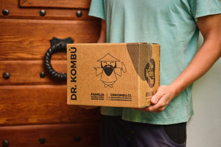 Kombucha de Mix de Berries. 330cc