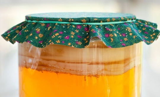 Beneficios de la Kombucha