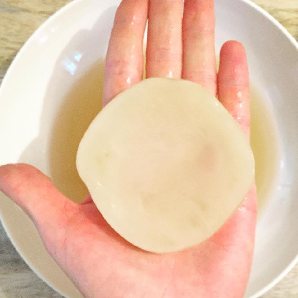 Cómo formar un Scoby desde Cero con una Dr. Kombu